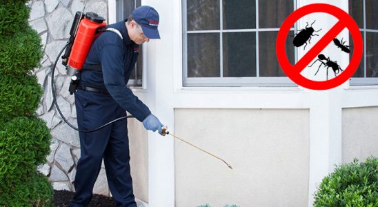 Tuzlukçu Hamam Böceği İlaçlama böcek ilaçlama ve haşere kontrolü — ilaclama-tr.com